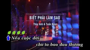 Biết Phải Làm Sao – Thúy Anh & Tuấn Ngọc