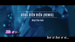 Bông Điên Điển (Remix) – Nhật Kim Anh