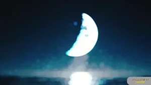 Chén Đắng (Tone Nữ) – Tình Ca AI