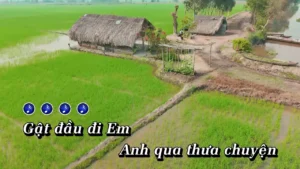 Có Cheo Có Cưới – Vũ Sam