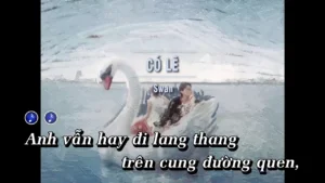 Có Lẽ – SWan
