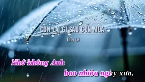 Còn Lại Gì Sau Cơn Mưa – Thủy Lê