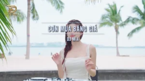 Cơn Mưa Băng Giá (Tone Nam) – DJ MíA