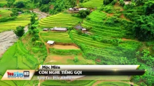 Còn Nghe Tiếng Gọi – Mộc Miên