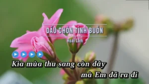 Dấu Chôn Tình Buồn – Hoài Lâm