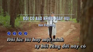 Đời Có Bao Nhiêu Ngày Vui – Đàm Vĩnh Hưng