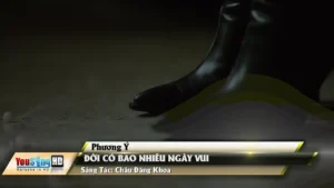 Đời Có Bao Nhiêu Ngày Vui – Phương Ý