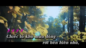 Đông Đến Đây Rồi Em Về Bên Ai – Vy Oanh