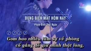 Đừng Biến Mất Hôm Nay – Phạm Đình Thái Ngân