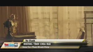 Đường Tình Chia Hai – Vy Oanh