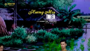Hương Mía Tình Em – Giáng Tâm & Xuân Hòa