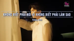 Không Biết Phải Nói Gì Không Biết Phải Làm Sao – Vương Bình
