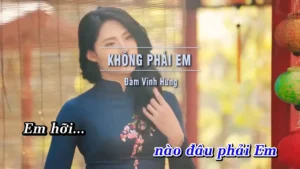 Không Phải Em (Remix) – Đàm Vĩnh Hưng