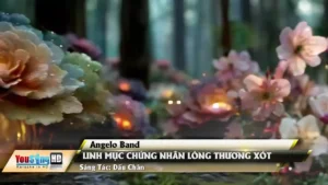 Linh Mục Chứng Nhân Lòng Thương Xót – Angelo Band