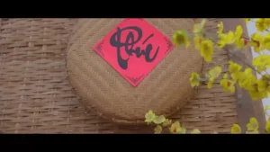 Mang Theo Tết Về Nhà – Thái Học