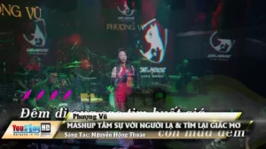 Mashup Tâm Sự Với Người Lạ & Tìm Lại Giấc Mơ – Phượng Vũ
