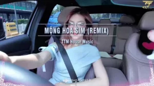 Mộng Hoa Sim (Remix) – TTM House Music