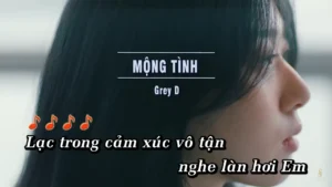 Mộng Tình – Grey D