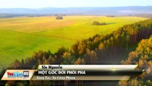 Một Góc Đời Phôi Pha – Sin Nguyễn