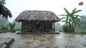 Mưa Chiều Miền Trung (Tone Nam) – Tình Ca AI