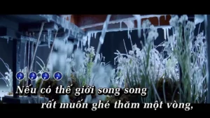 Nếu Có Thế Giới Song Song – Vương Anh Tú