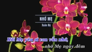 Nhớ Mẹ – Xuân Độ