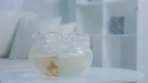Như Đã Dấu Yêu – Lala Trần