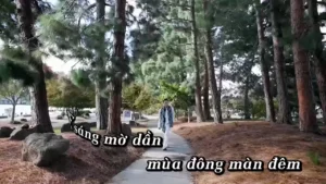 Rưng Rưng Nước Mắt – Nhật Tinh Anh