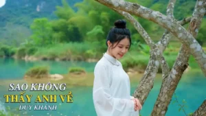 Sao Không Thấy Anh Về (Tone Nữ) – Tình Ca AI