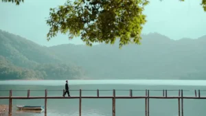 Sau Người Em Thương – Thái Học
