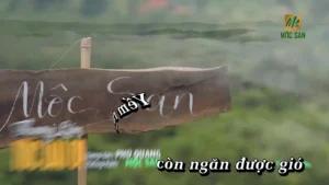 Thương Lắm Tóc Dài Ơi – Mộc San