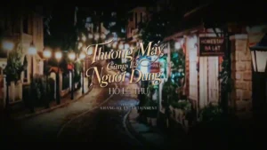 Thương Mấy Cũng Là Người Dưng – Hồ Lệ Thu