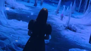 Trầm Luân – Vũ Trâm Anh