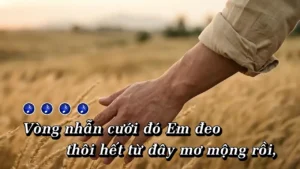 Vòng Nhẫn Cưới (Tone Nam) – Tình Ca AI