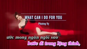 WHAT CAN I DO FOR YOU – Phương Vy