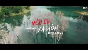 Yêu Em Vài Hôm – Đinh Đại Vũ