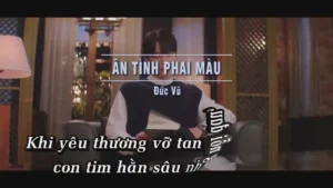 Ân Tình Phai Màu – Đức Vũ