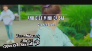 Anh Biết Mình Đã Sai – Cao Nam Thành