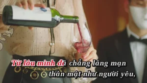 Anh Chưa Biết Đâu – Mỹ Tâm