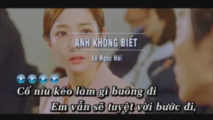 Anh Không Biết – Lê Ngọc Hải