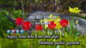 Ánh Mắt Của Cha – Đàm Vĩnh Hưng