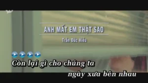 Anh Mất Em Thật Sao – Trần Đức Hiểu