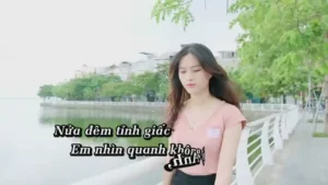 Anh Trốn Làm Sao Được – T Gumiho