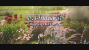 Bạc Trắng Lửa Hồng – Bằng Cường & Lâm Ngọc Hoa