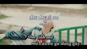 Bằng Lăng Nở Hoa – Anh Rồng