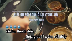 Biết Ơn Bởi Đang Ở Lại (Tone Nữ) – Phan Mạnh Quỳnh