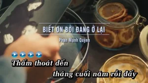 Biết Ơn Bởi Đang Ở Lại – Phan Mạnh Quỳnh