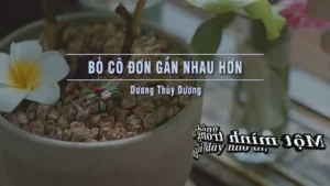 Bỏ Cô Đơn Gần Nhau Hơn – Dương Thùy Dương