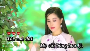 Bông Bưởi Hoa Cau – Thúy Hằng