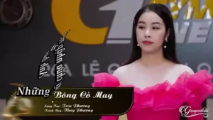 Bông Cỏ May – Thúy Phượng